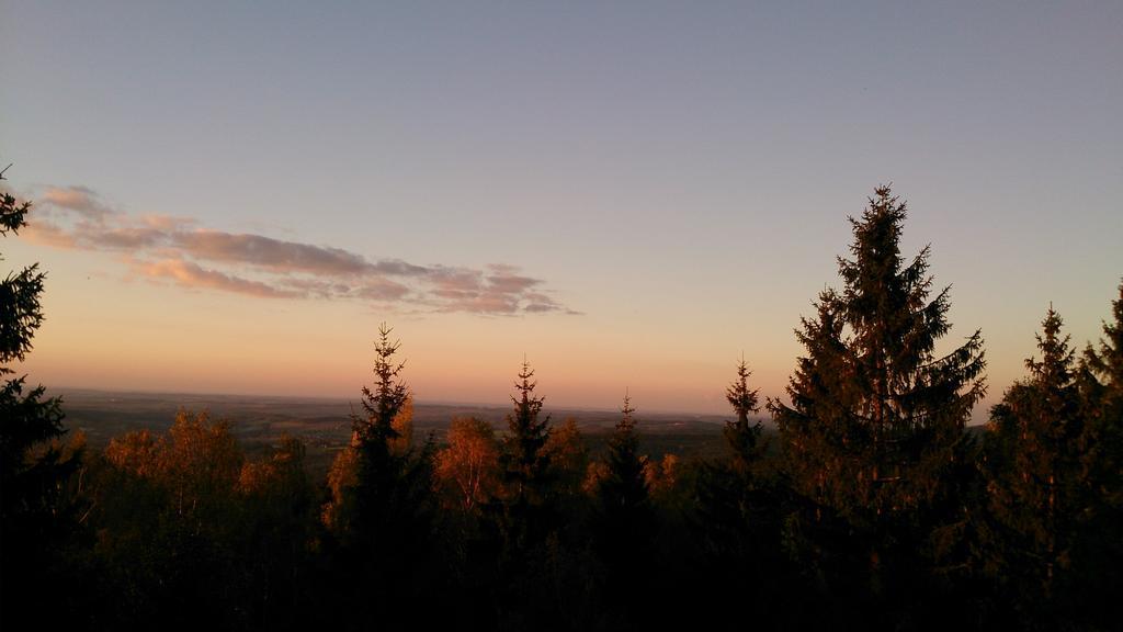 Waldhotel Zoebischhaus Bad Reiboldsgrün Exteriör bild